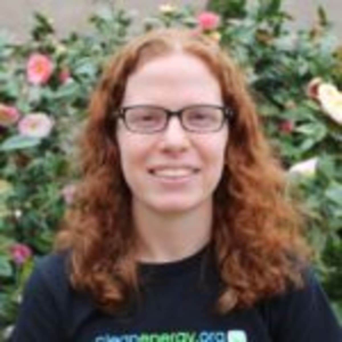 Clean Energy Cuts Bills Up to $400 Across Southeast - Image 2