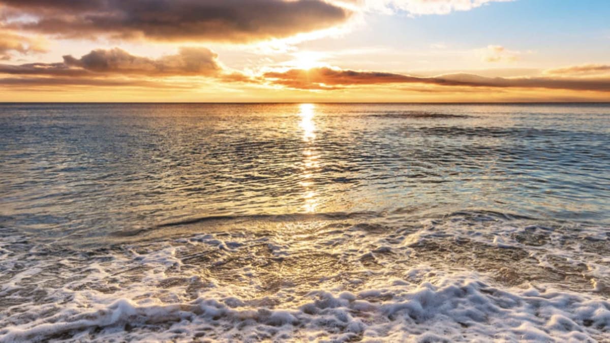 Plug-In Solar Lets Renters Join Clean Energy Revolution
