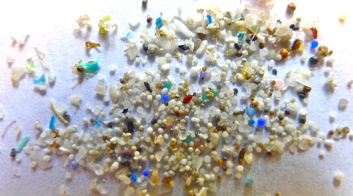 Illinois Becomes First Great Lakes State to Ban Pellet Spills - Image 3