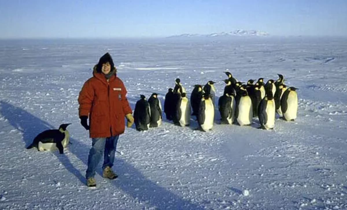 Scientist Who Saved Ozone Layer Shares How We Can Do It Again - Image 3