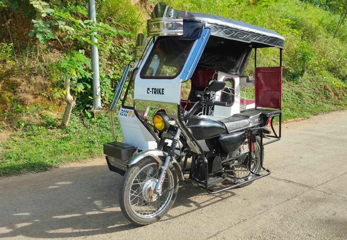 Philippines Launches Homegrown Electric Ferry and Buses - Image 3