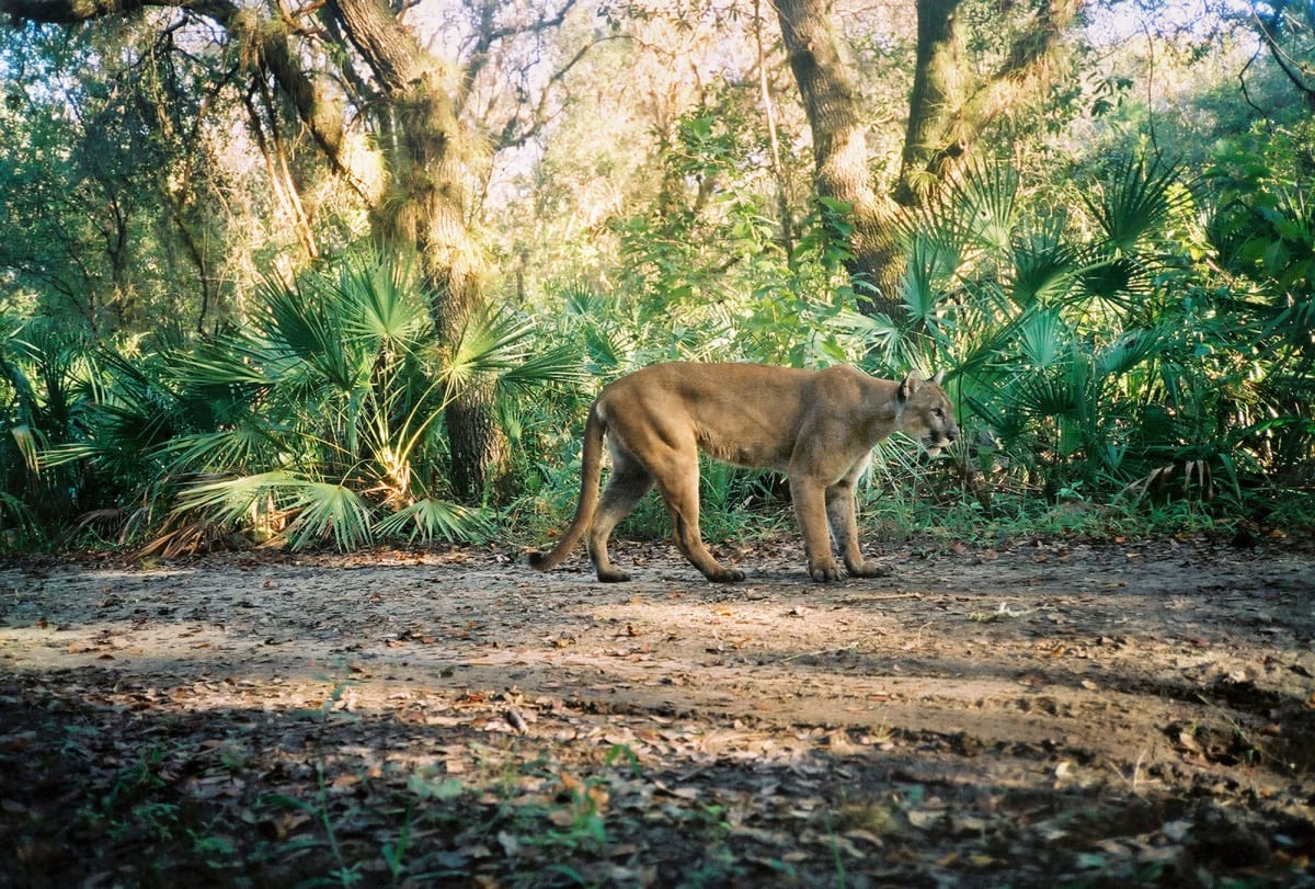 Florida Detention Center Closes After Environmental Lawsuit - Image 4