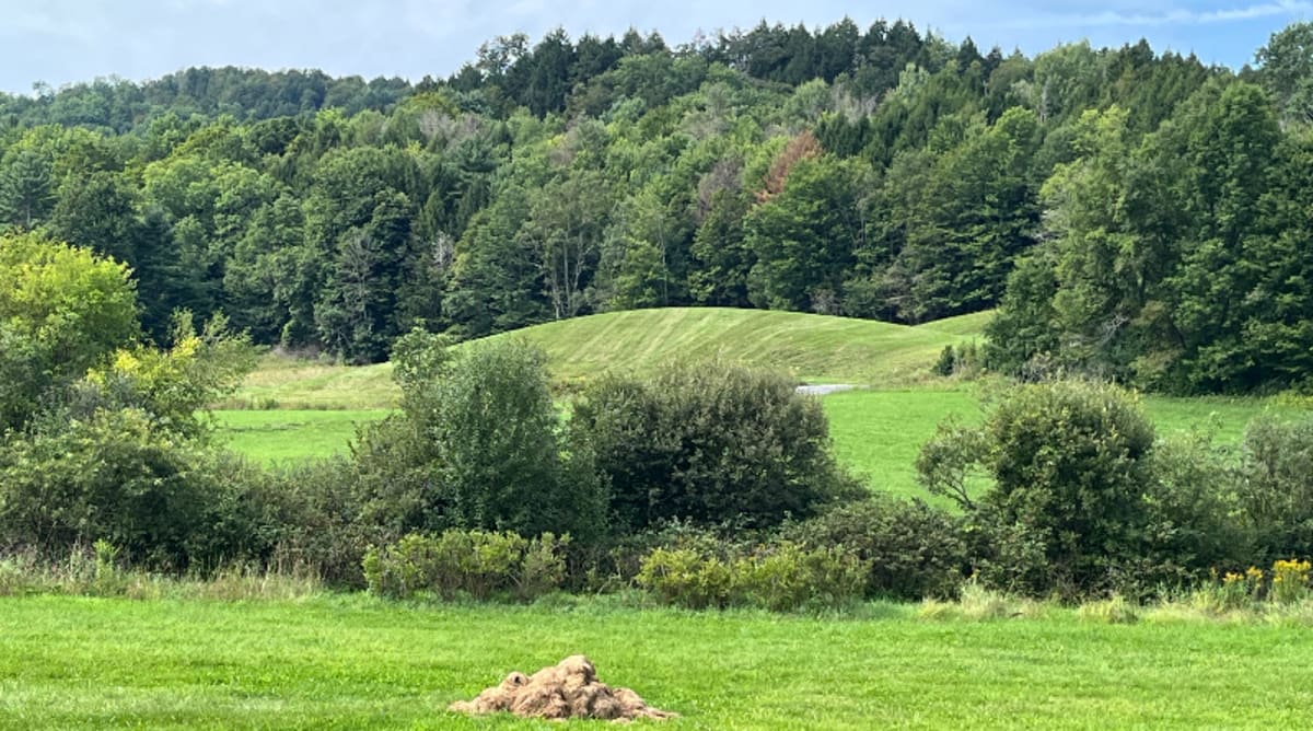 Vermont Farm Family Goes 50% Solar in Decade