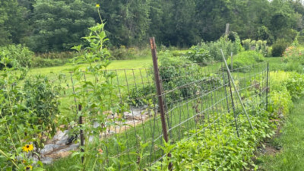 Vermont Farm Family Goes 50% Solar in Decade - Image 5