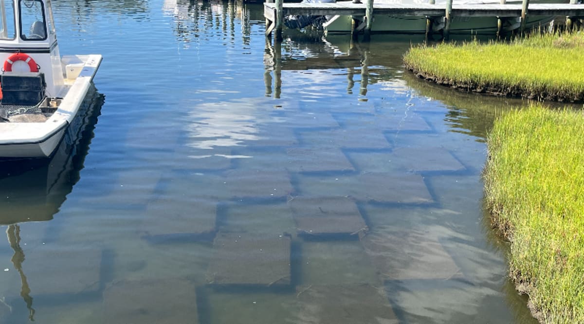 Oyster farm equipment floating in calm coastal waters of Cape Cod bay area