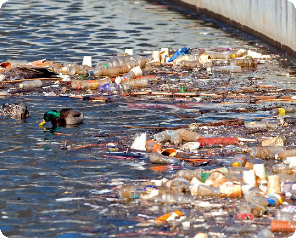 Various paper-based packaging materials and sustainable alternatives to plastic flexible packaging