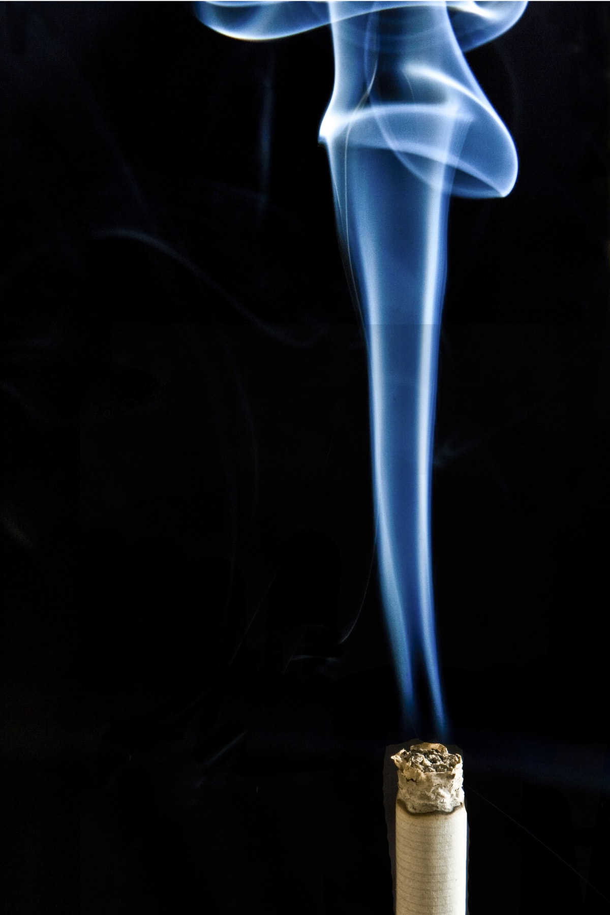 Medical researchers examining brain scan images in University of Chicago laboratory studying smoking effects