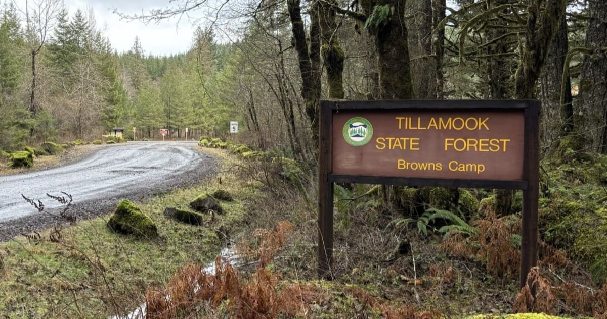 Oregon Protects Endangered Species Despite Federal Rollback - Image 3