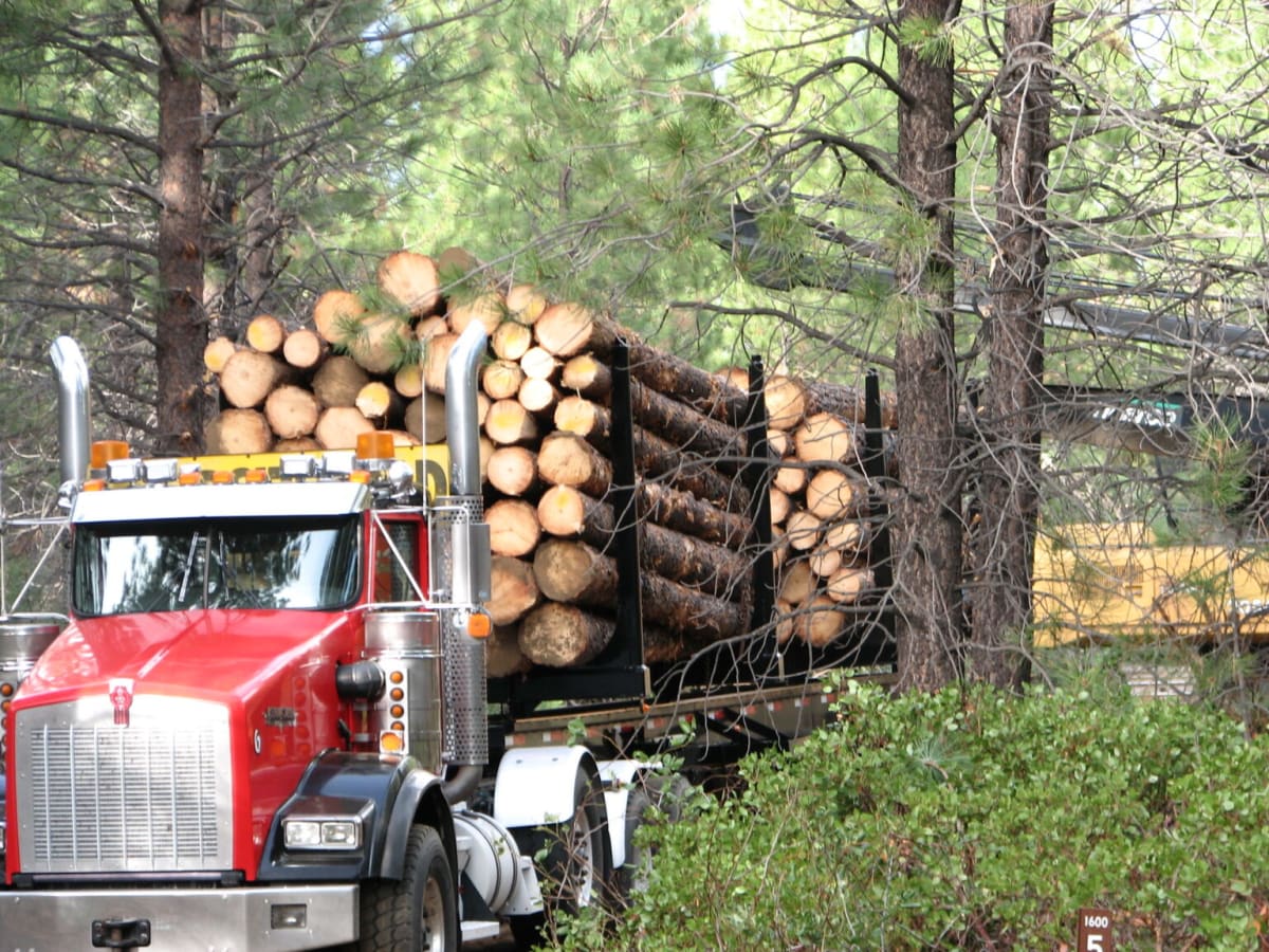 Oregon Protects Endangered Species Despite Federal Rollback - Image 5