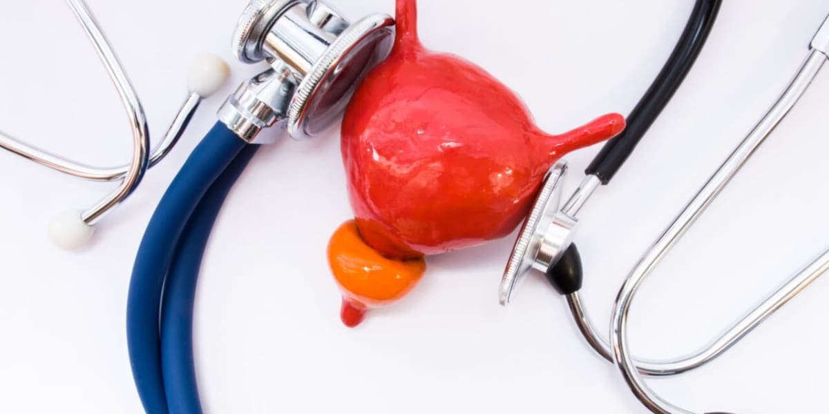 AI Test Gets FDA Fast-Track for Bladder Cancer Patients - Image 2