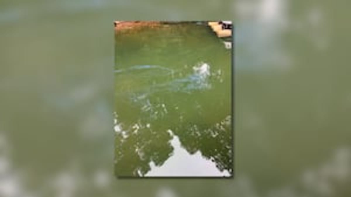 Coast Guard Saves 7 from Sinking Boat Off Georgia Coast - Image 4