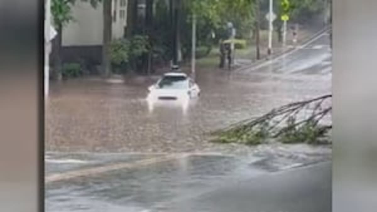 Atlanta Veteran Wades Through Flood to Save Trapped Driver - Image 2