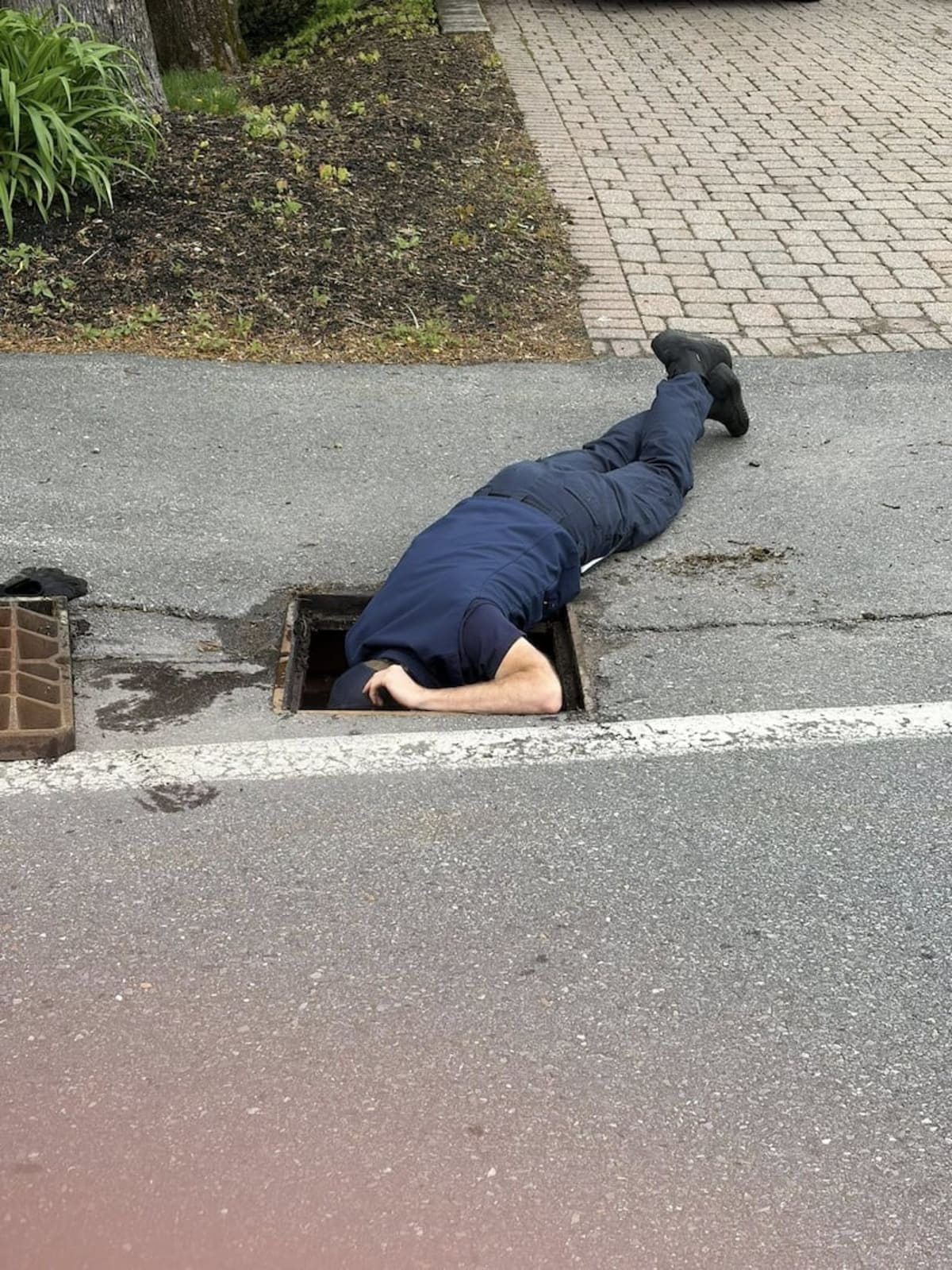 10 Ducklings Rescued From Storm Drain in Ayer, Mass. - Image 4