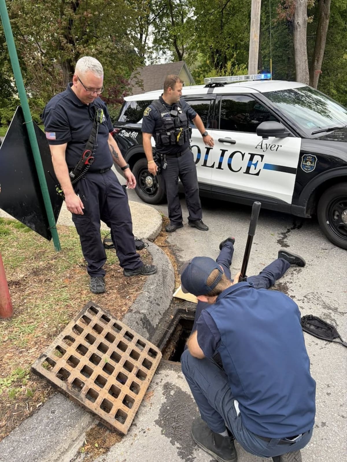 10 Ducklings Rescued From Storm Drain in Ayer, Mass. - Image 2