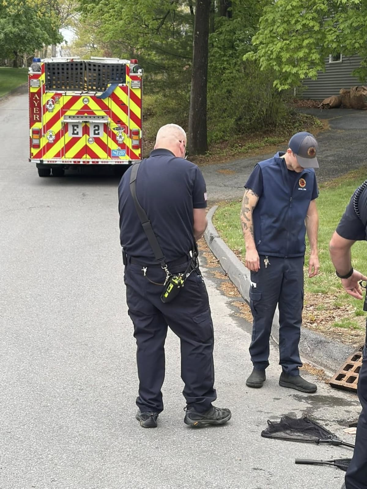 10 Ducklings Rescued From Storm Drain in Ayer, Mass. - Image 3