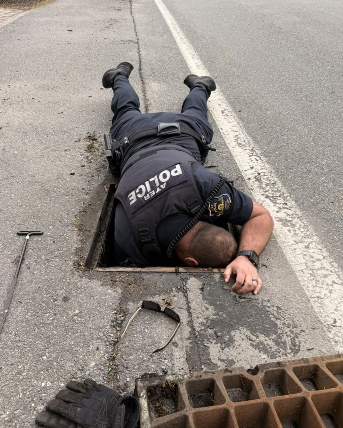 10 Ducklings Rescued From Storm Drain in Ayer, Mass. - Image 5