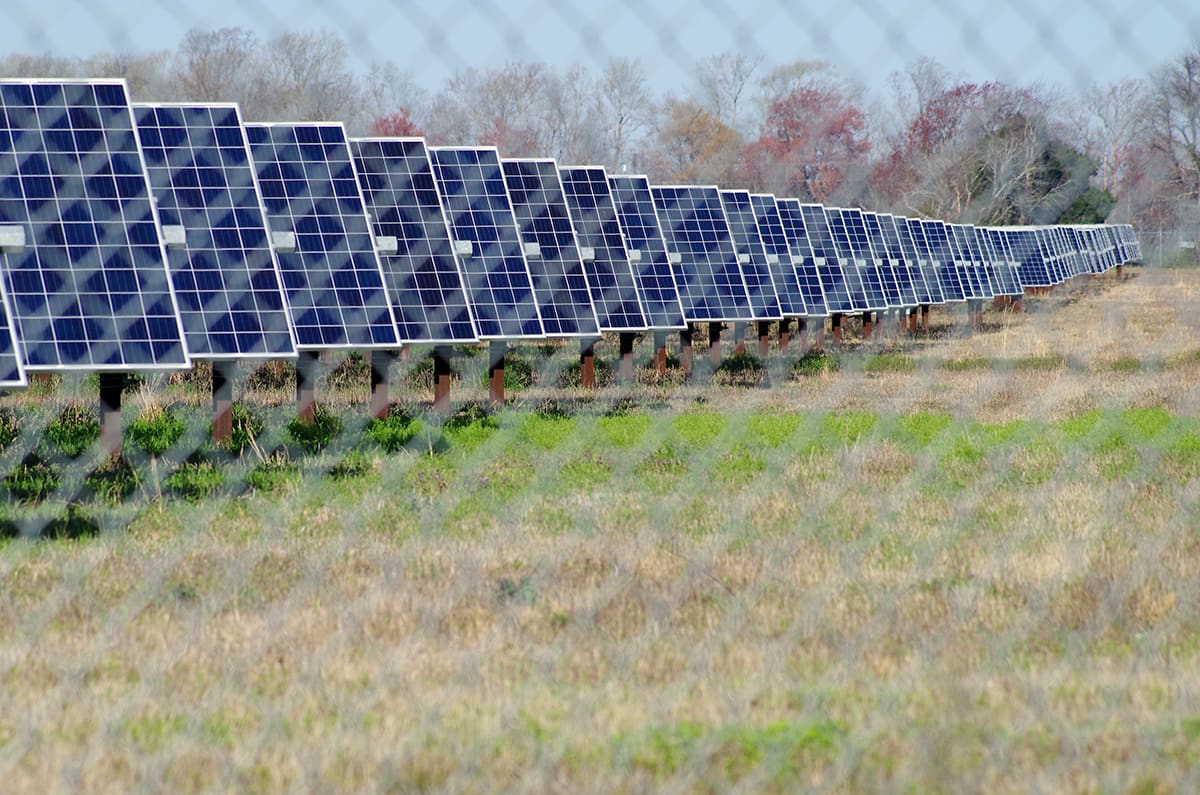 Solar panel array stretching across field in eastern North Carolina landscape