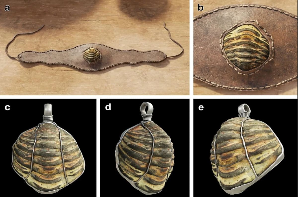 Ancient Fossil Turned Into Roman Good Luck Charm in Spain