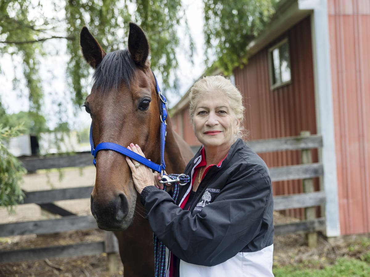 Retired Standardbred racehorse grazing peacefully at New Jersey rescue farm