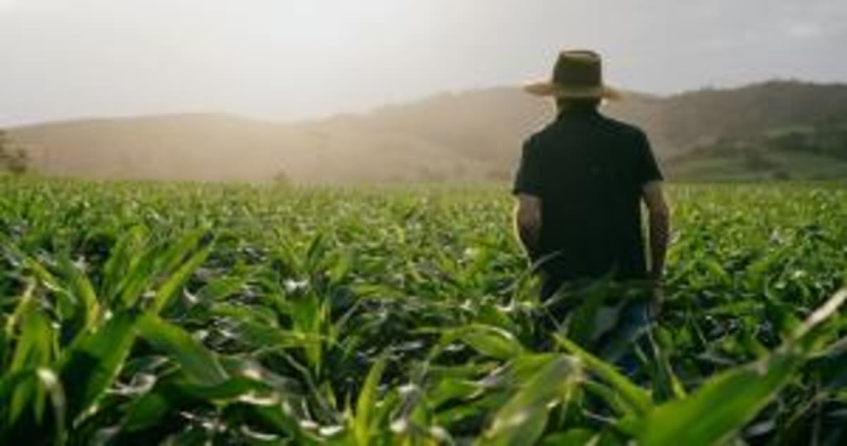 Brazil's $1B Biological Farming Boom Attracts Global Money - Image 3