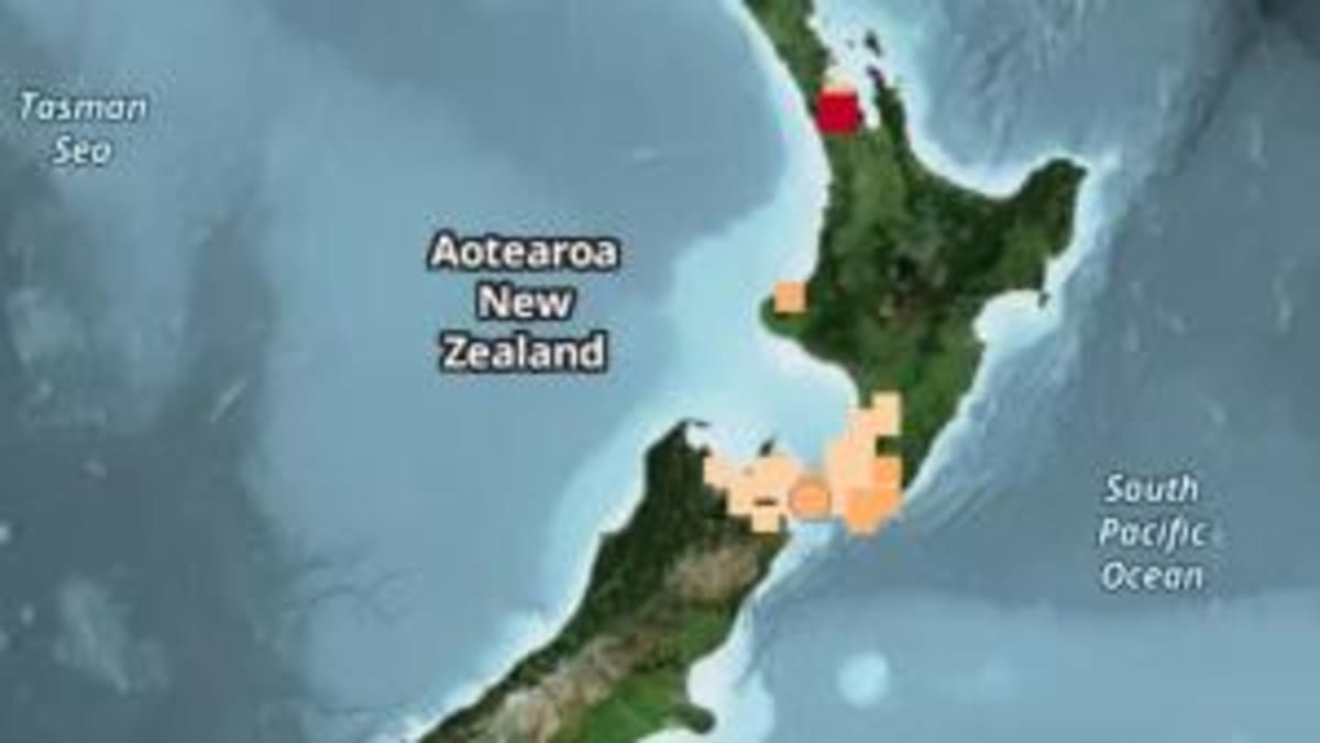 More Kiwis Staying Home: NZ Migration Hits 24,200 - Image 5