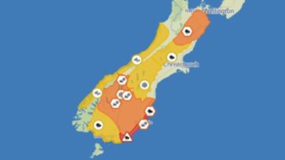 New Zealand Targets Pet Abuse in Domestic Violence Cases - Image 3