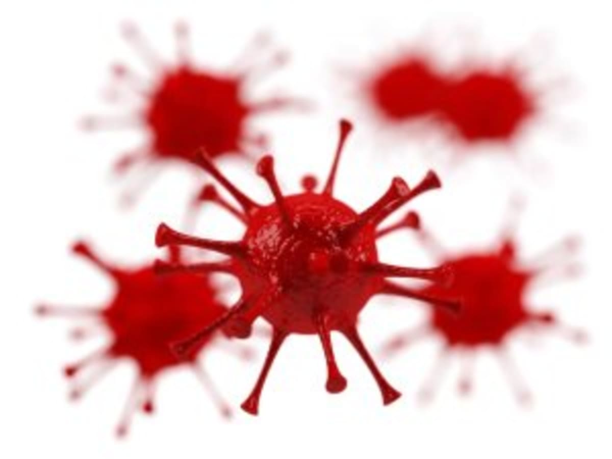New Zealand Targets Pet Abuse in Domestic Violence Cases - Image 5