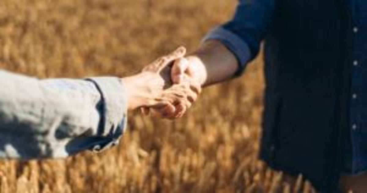 Brazil's Farms Hit Record $169B in Exports - Image 3