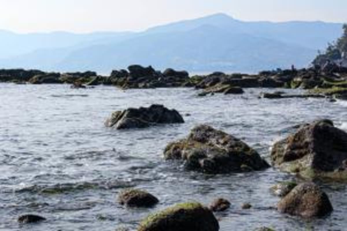Japanese Sailor Chases 'Everest of the Seas' Solo Race Dream - Image 4