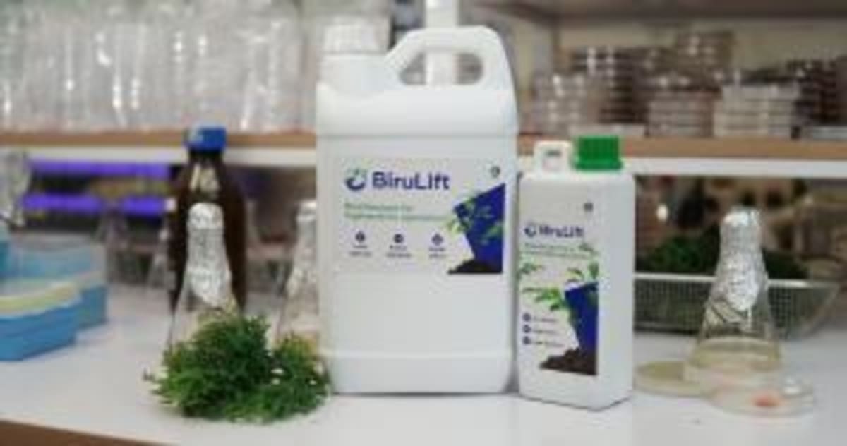 Japan Beer Firm Cuts Emissions 50% With Soil Innovation - Image 4