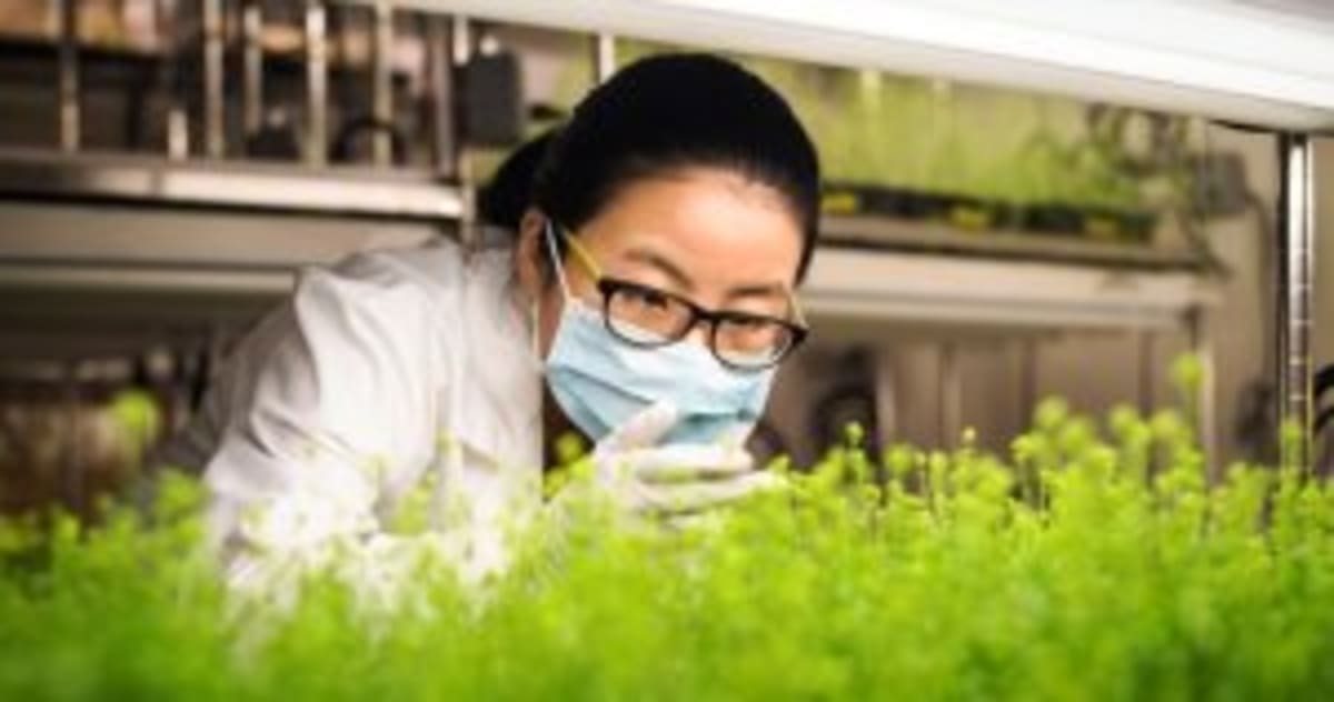 Brazil Invests $8M in Eco-Friendly Farming Revolution - Image 3