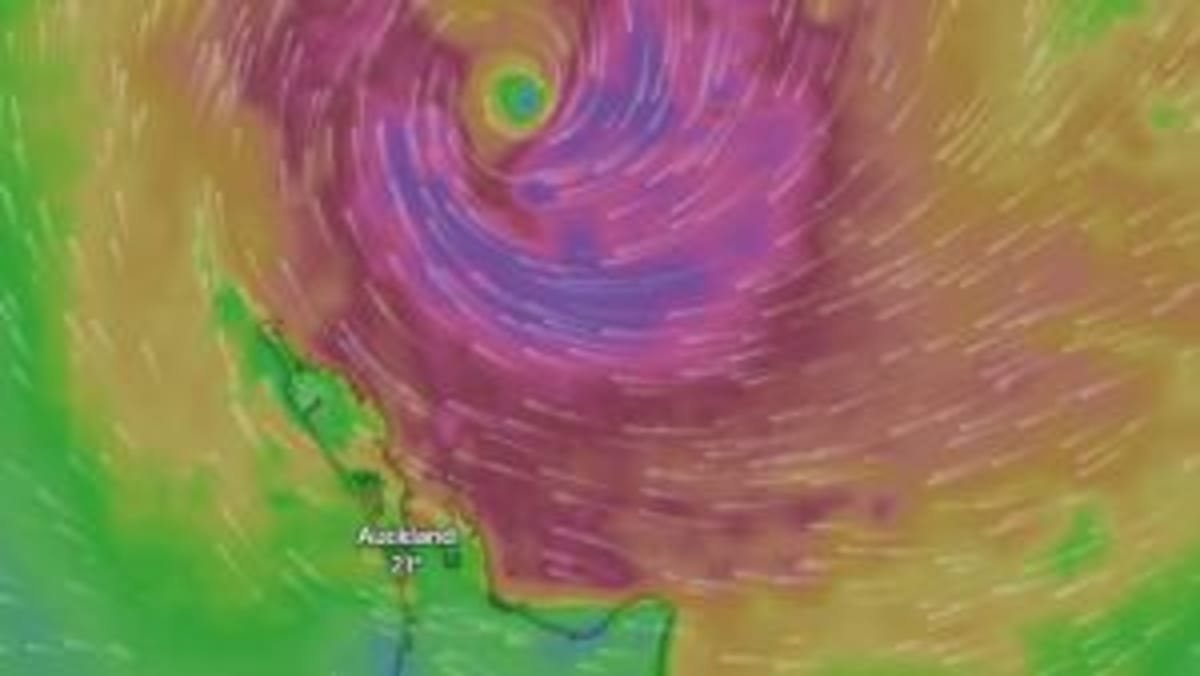 Kiwi Opera Doc Sells Out Theaters After a Month in Cinemas - Image 5