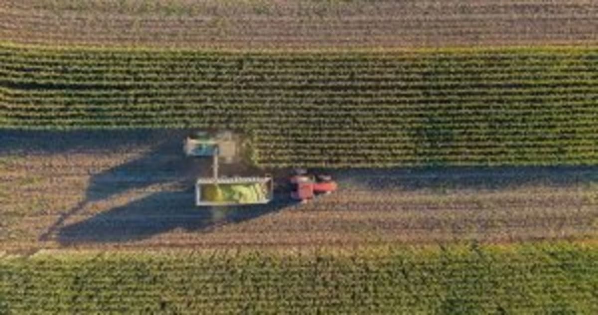 Brazil Invests $8M in Eco-Friendly Farming Revolution - Image 4