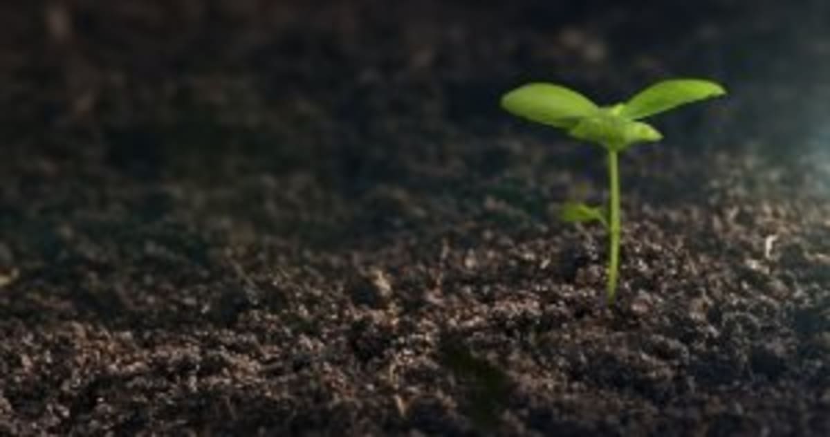 New Accelerator Brings AI and Robotics to Food Innovation - Image 4