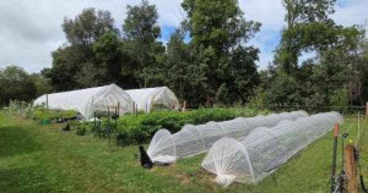 Farmers Cut 946K Tons of CO2 With Regenerative Agriculture - Image 2