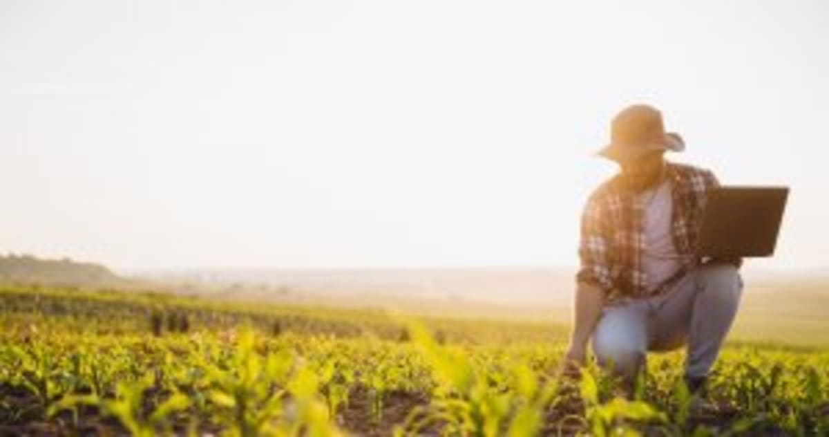 Farmers Cut 946K Tons of CO2 With Regenerative Agriculture - Image 3