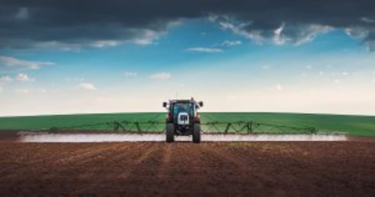 Vietnam's Rice Revolution: From Volume to Value - Image 2