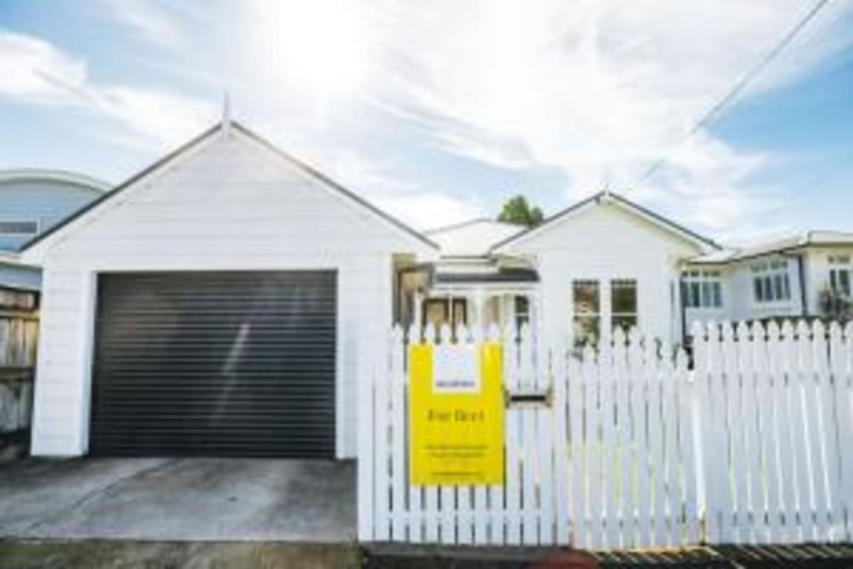 136-Year-Old Rowing Club Wins New Zealand's Top Honor - Image 4