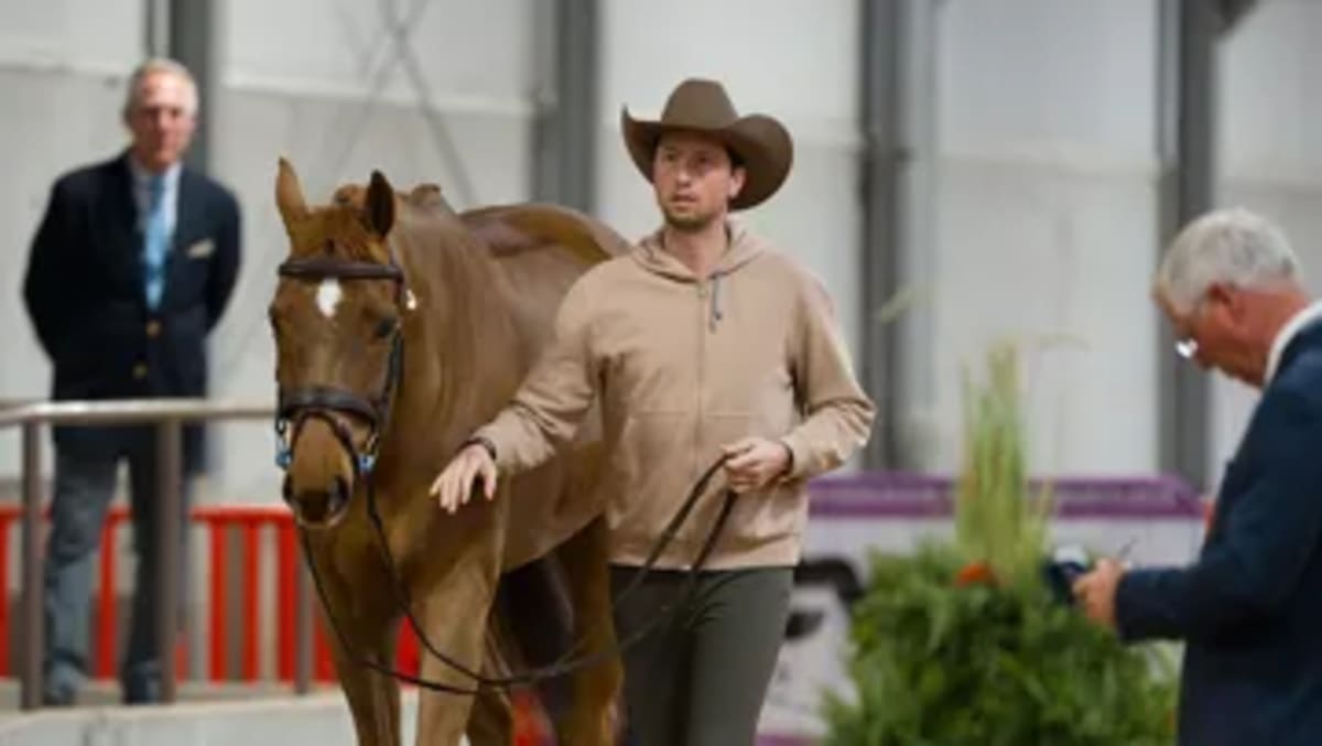 Becky Moody Wins Dressage World Cup with 88.33% Score - Image 5