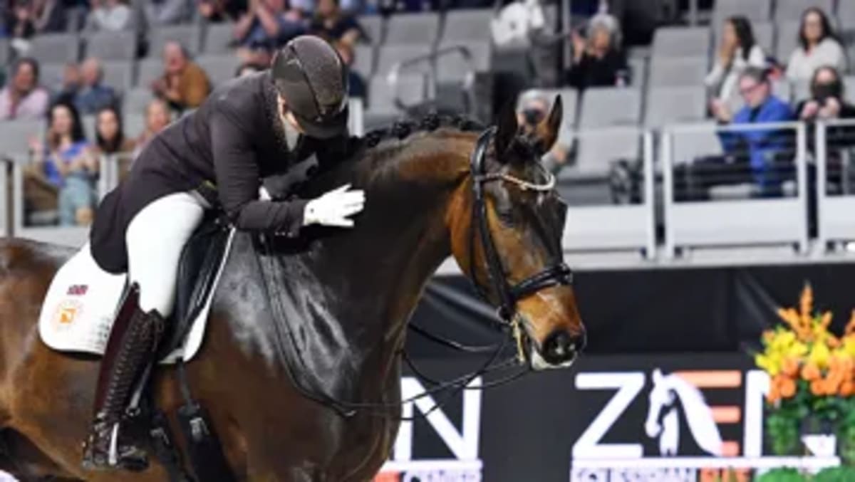 Becky Moody Wins Dressage World Cup with 88.33% Score - Image 3