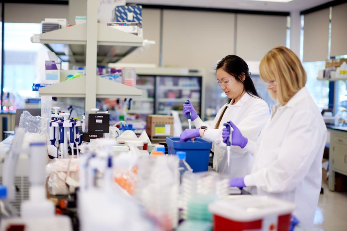 New Pancreatic Cancer Drug Doubles Survival in Trials - Image 5