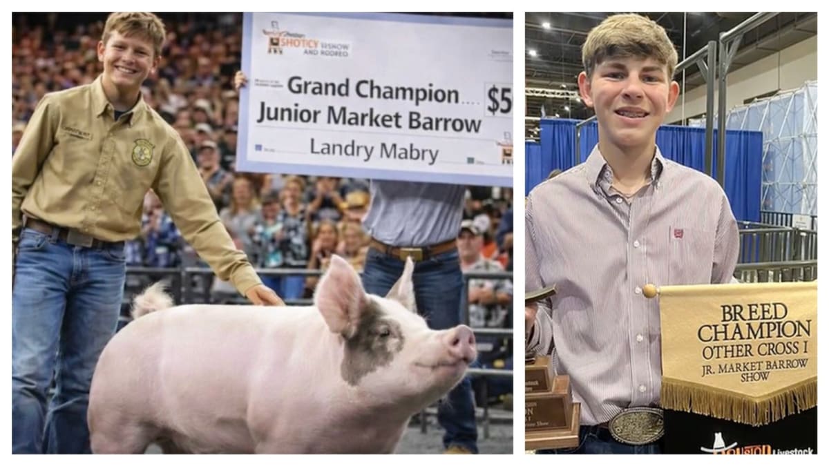 Texas Teen's Pig Wins Record $505K at Houston Rodeo - Image 2