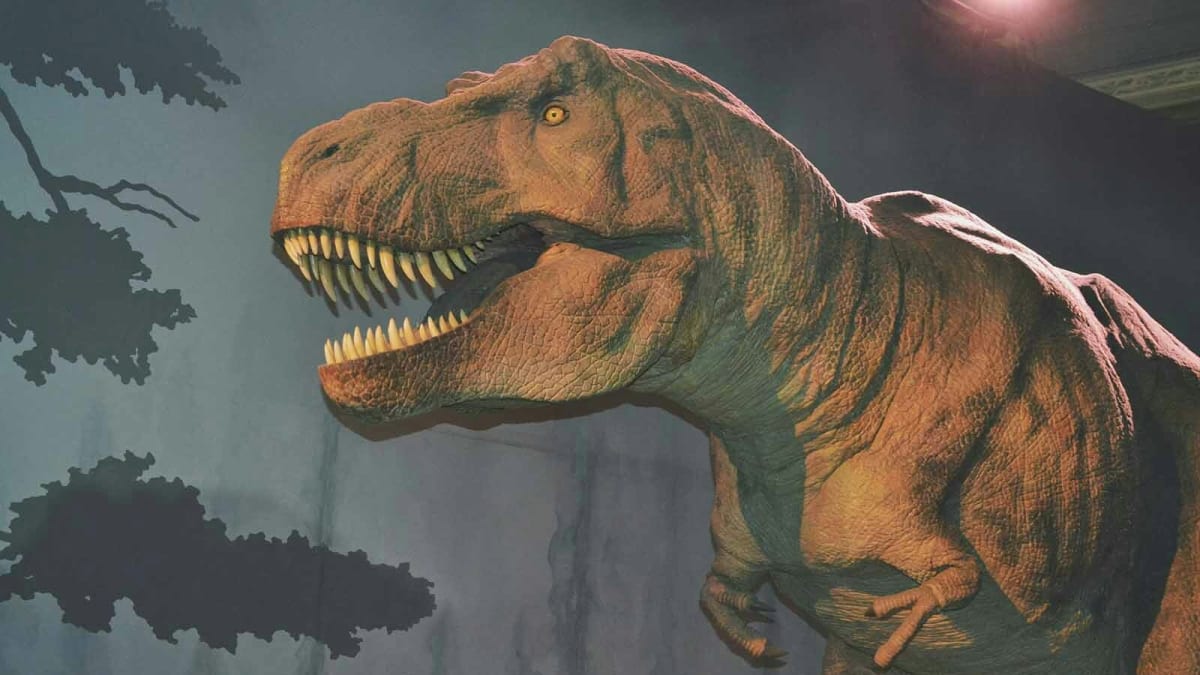 Wyoming T. Rex Could Rewrite Dinosaur History Books - Image 4