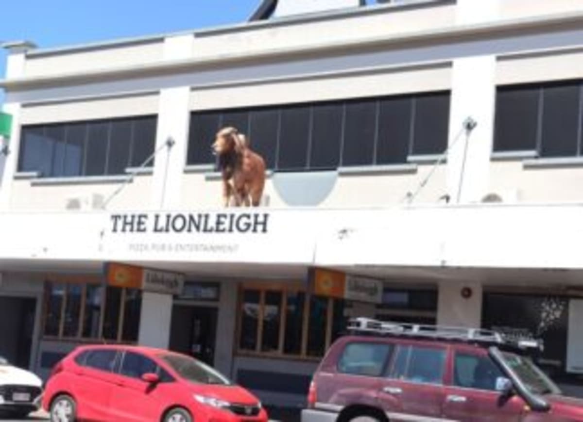 CapRescue Fundraiser Raises Big at Rockhampton Races - Image 2