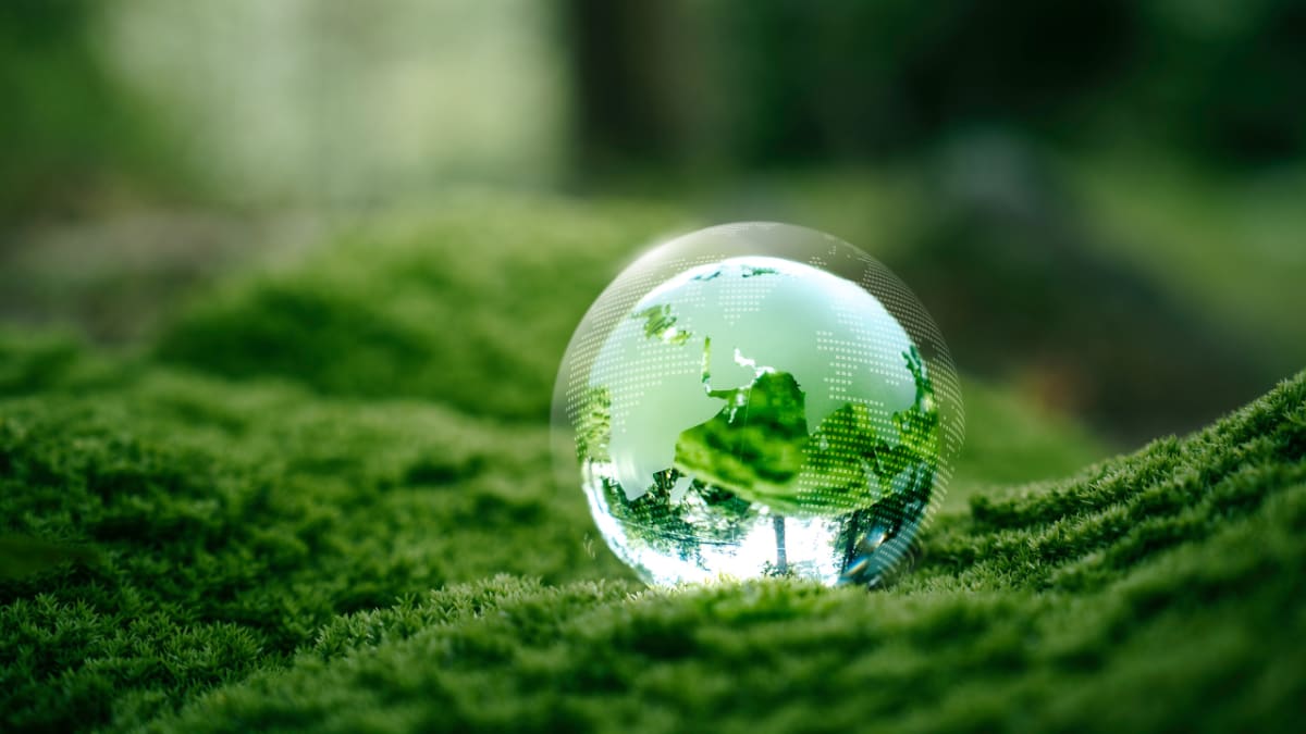 Europe Could Cut Car Refrigerant Emissions 50% by 2050
