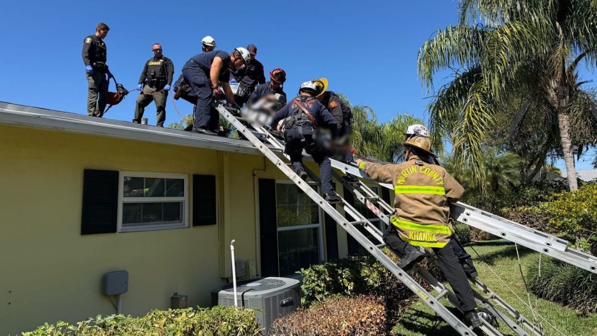 Firefighters in safety gear guide stretcher down from rooftop during technical rescue operation