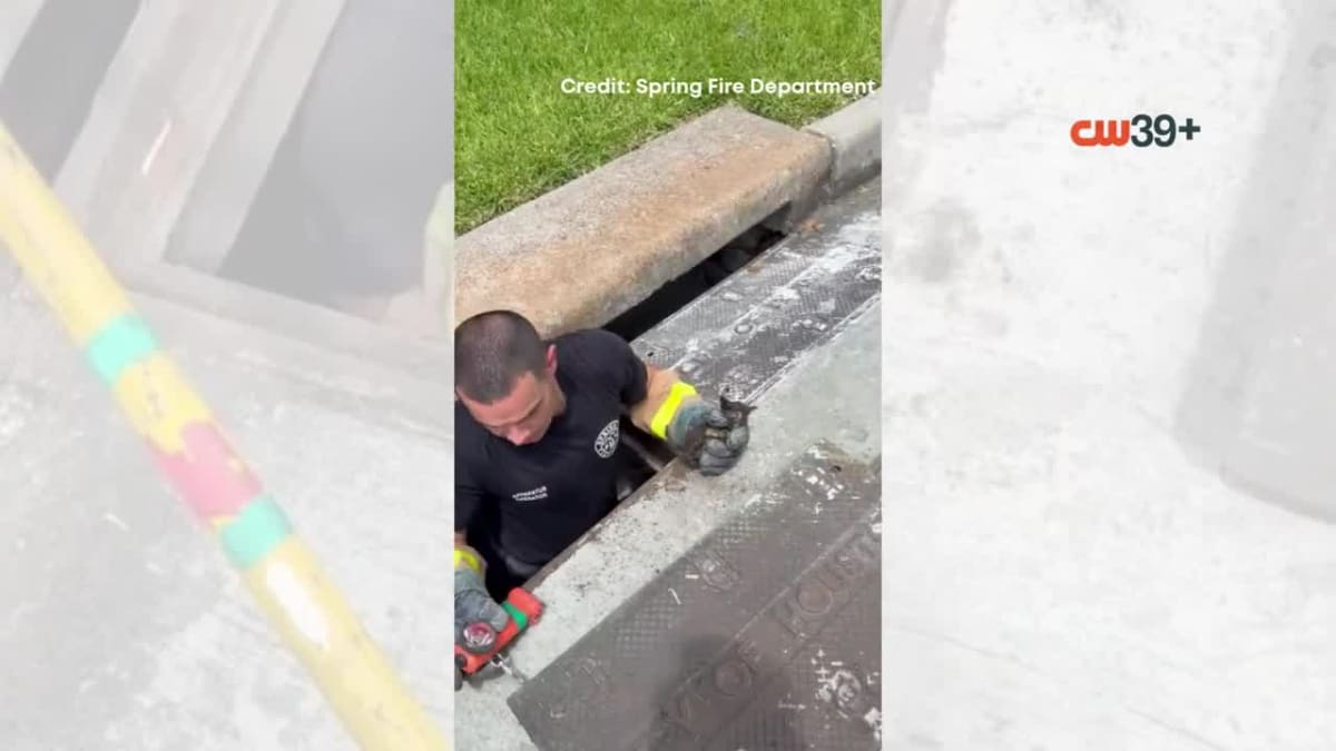 Texas Firefighter Rescues Kitten from Storm Drain