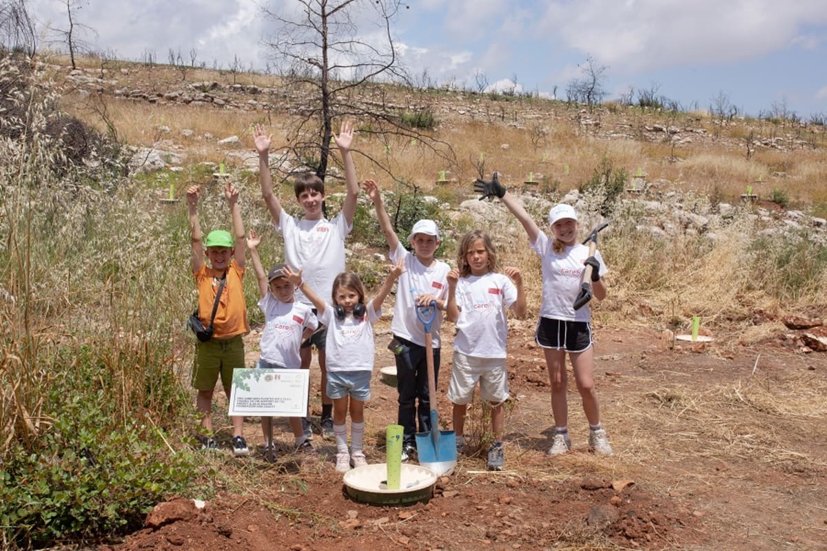 Volunteers installing water-saving tree planting systems in fire-damaged Cyprus landscape
