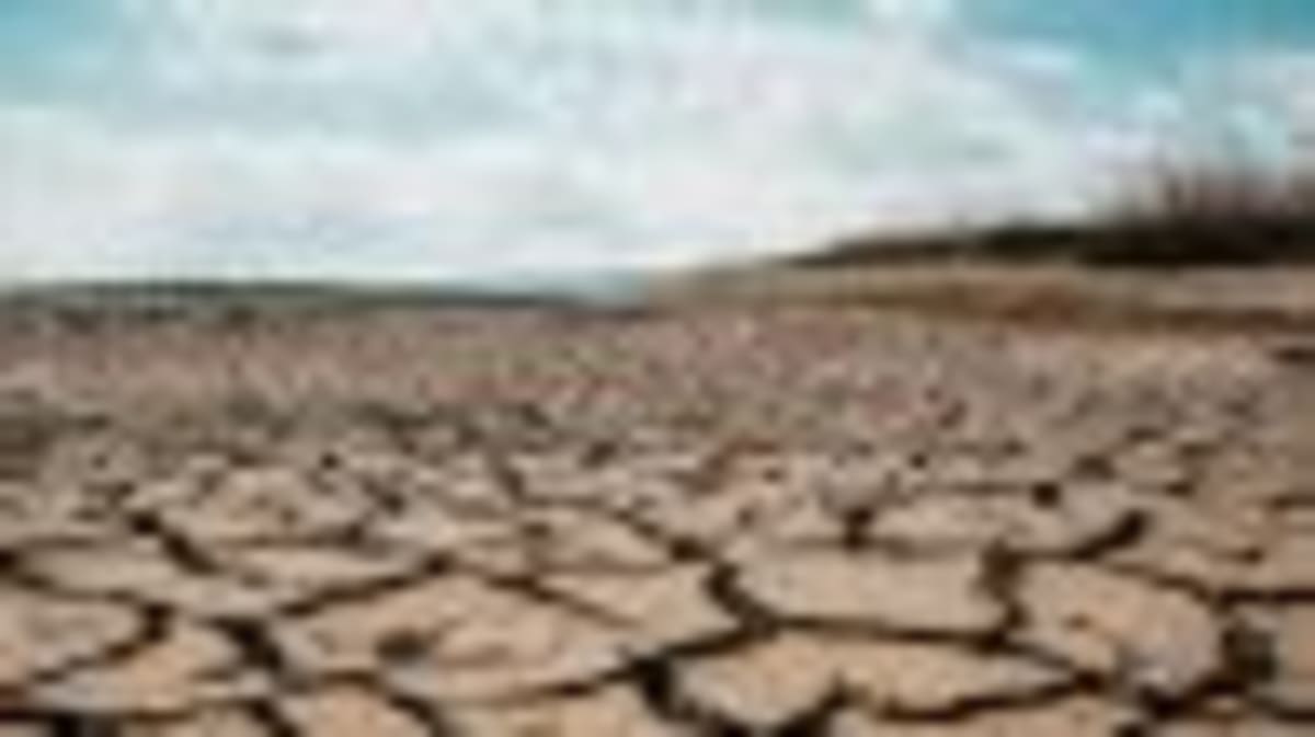 Scientists Solve 320-Million-Year Reptile Armor Mystery - Image 4