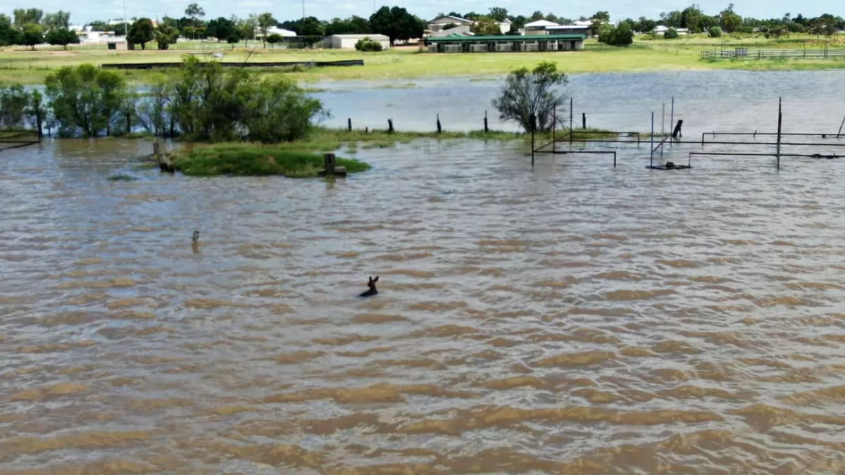 Australia Unites to Save Thousands After Cyclone Narelle - Image 3